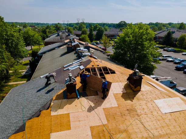 Best Roof Maintenance Services  in Glouster, OH